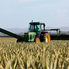 Descenso de autónomos del campo en España