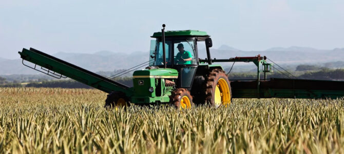 Descenso de autónomos del campo en España Descenso de autónomos del campo en España