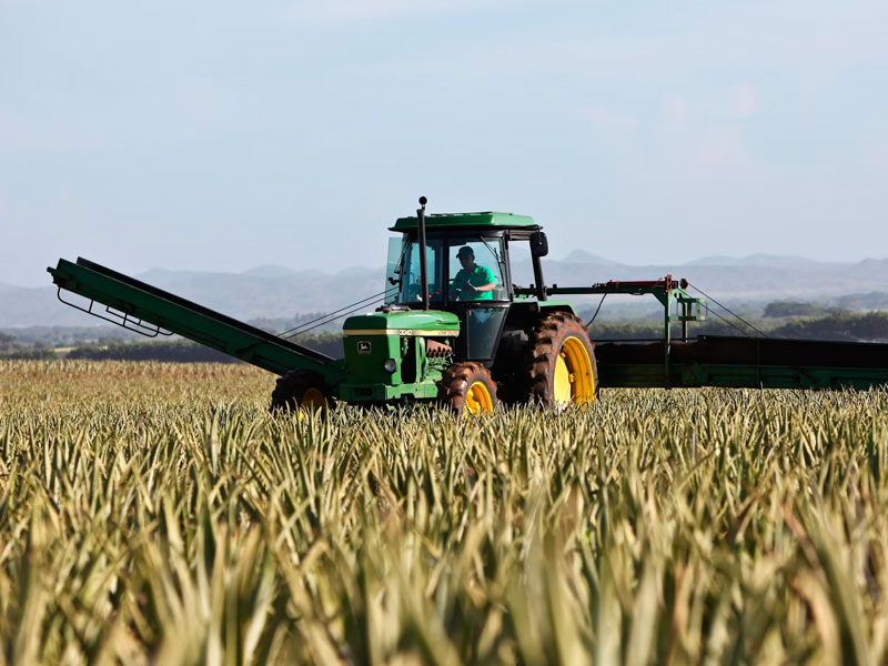 Descenso de autónomos del campo en España - Andrés Jiménez