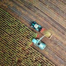 Medidas de liquidez para el sector agrario