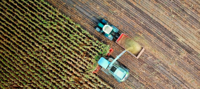 Medidas de liquidez para el sector agrario