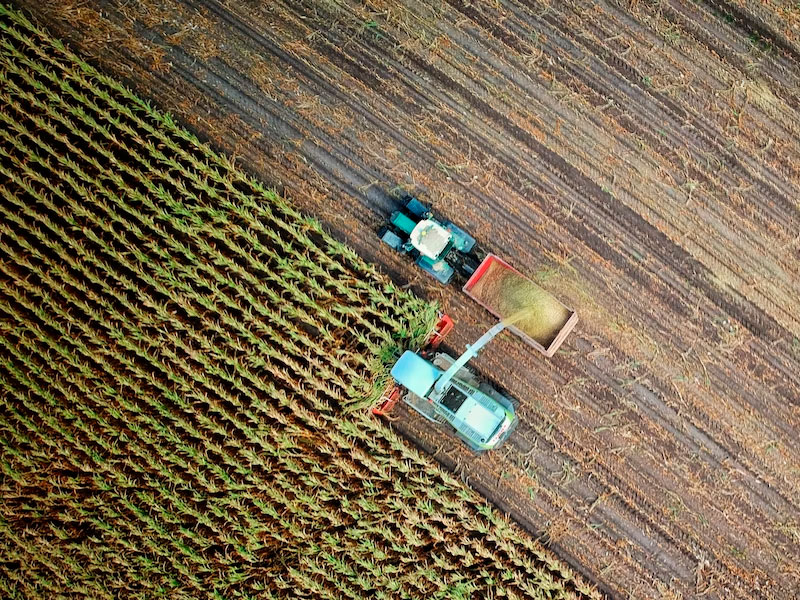 Medidas de liquidez para el sector agrario - Andrés Jiménez