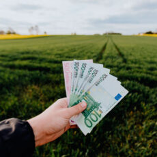 Salario Mínimo Interprofesional en España